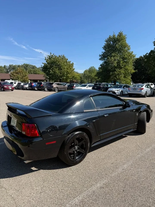 2003 Ford SN95 Mustang - Image 8 of 20