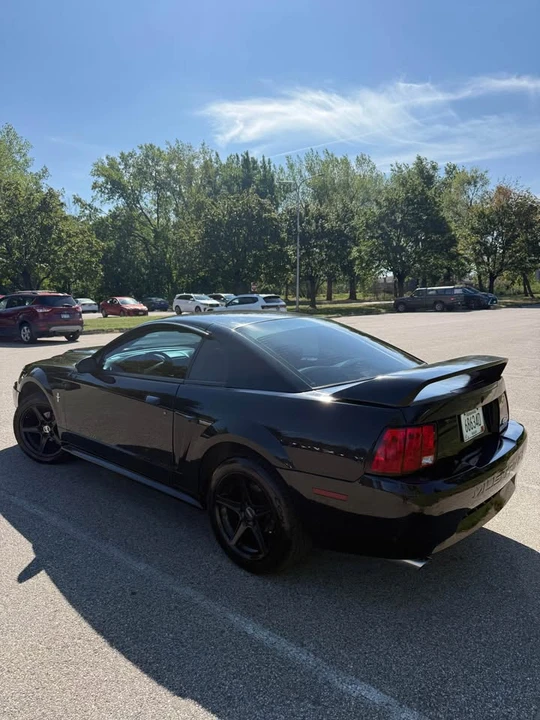2003 Ford SN95 Mustang - Image 6 of 20