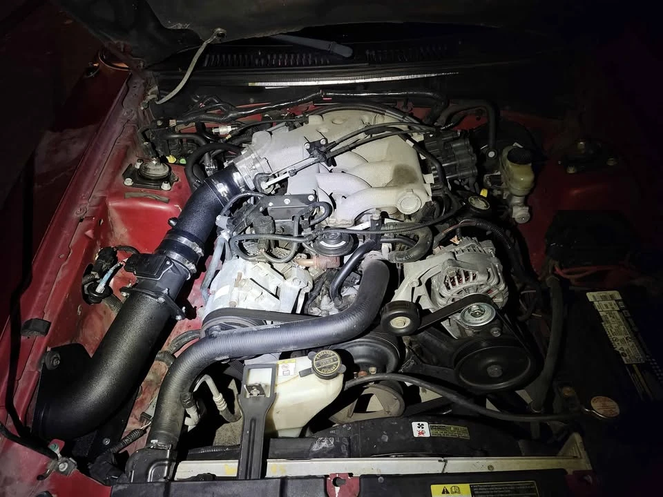 2003 Ford SN95 Mustang - Image 3 of 7