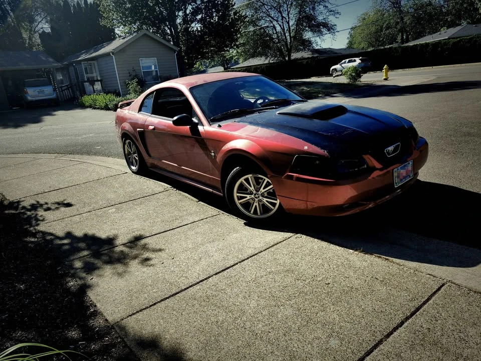 2003 Ford SN95 Mustang - Image 4 of 7