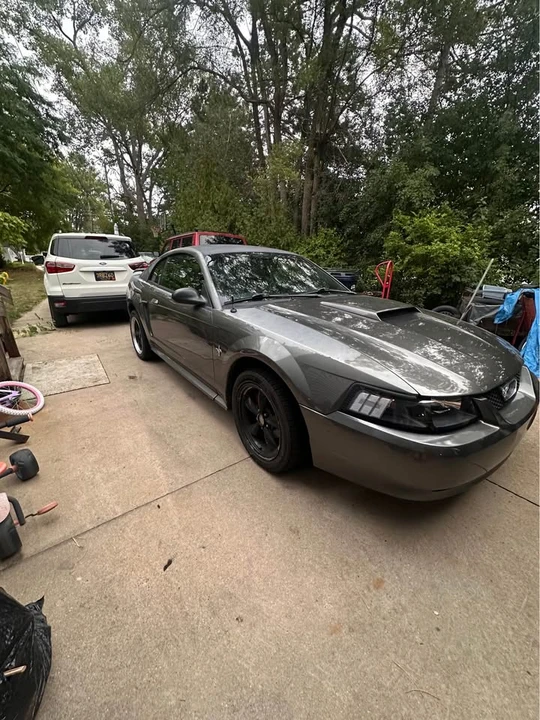 2003 Ford SN95 Mustang - Image 12 of 19