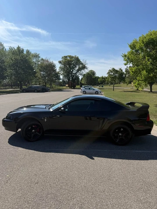 2003 Ford SN95 Mustang - Image 4 of 20
