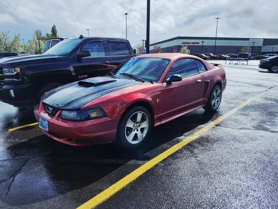 2003 Ford SN95 Mustang - Image 6 of 7