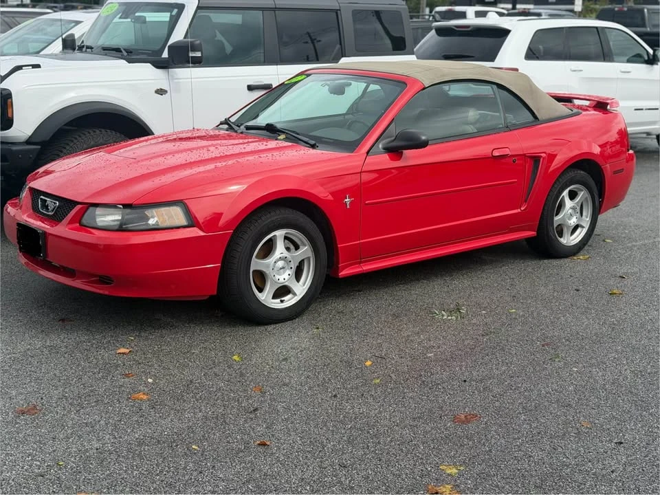 2003 Ford SN95 Mustang - Image 2 of 10