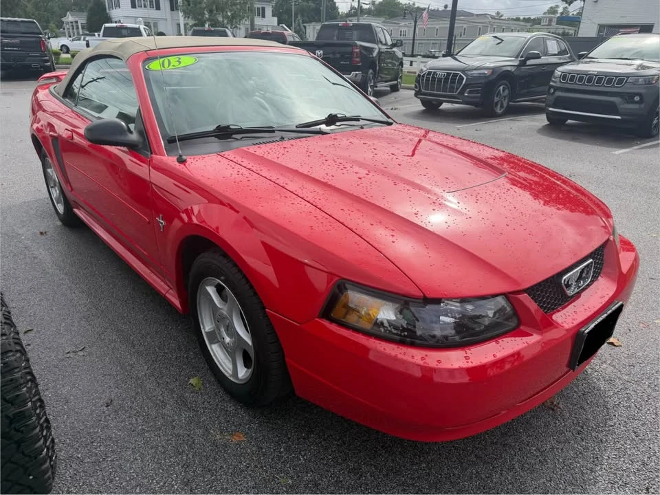 2003 Ford SN95 Mustang - Image 3 of 10
