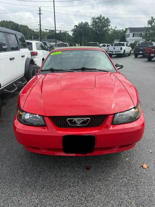 2003 Ford SN95 Mustang - Image 4 of 10