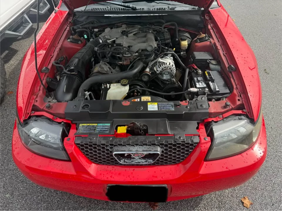 2003 Ford SN95 Mustang - Image 6 of 10