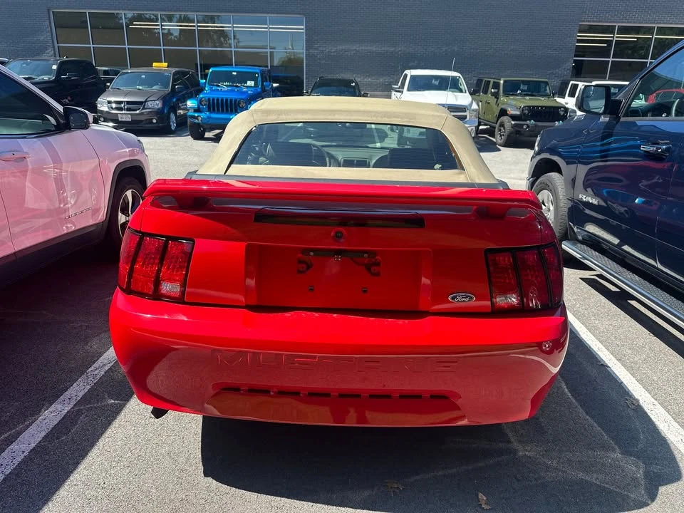 2003 Ford SN95 Mustang - Image 5 of 10