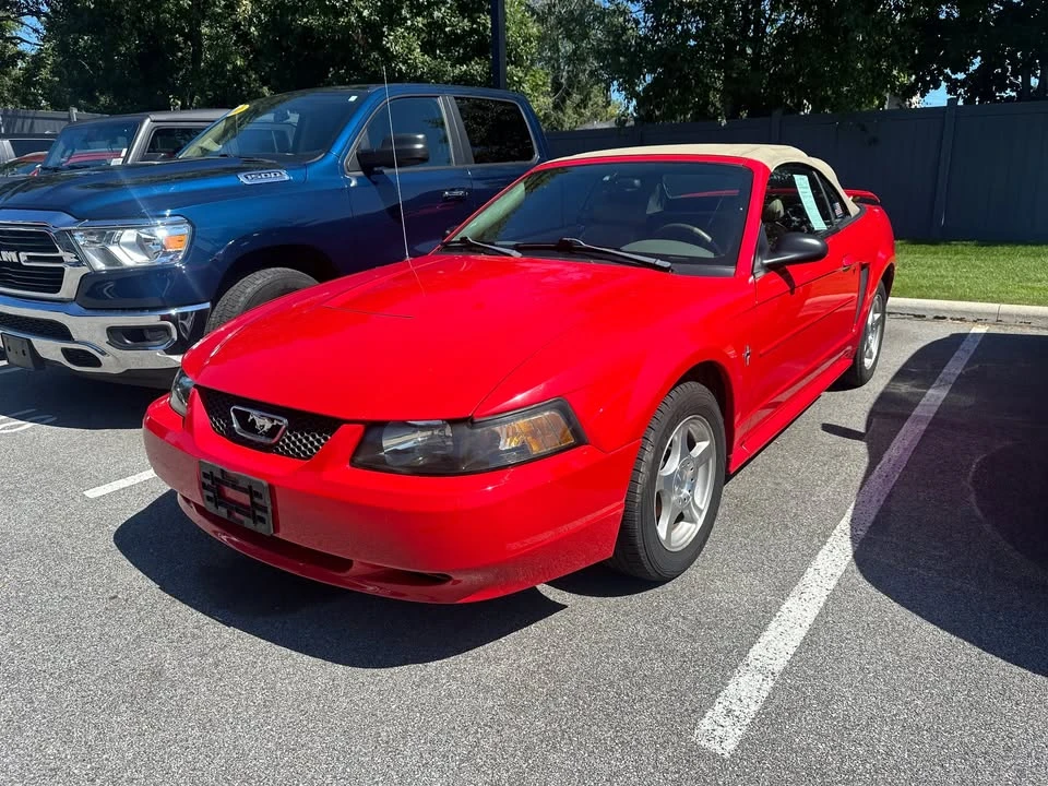 2003 Ford SN95 Mustang - Image 3 of 10