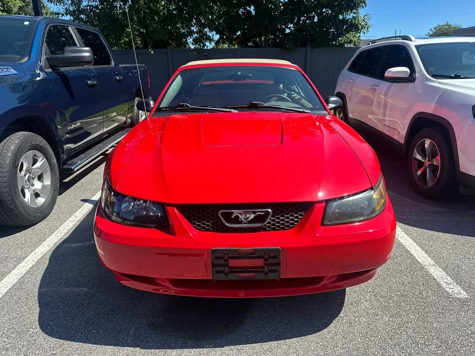 2003 Ford SN95 Mustang - Image 2 of 10