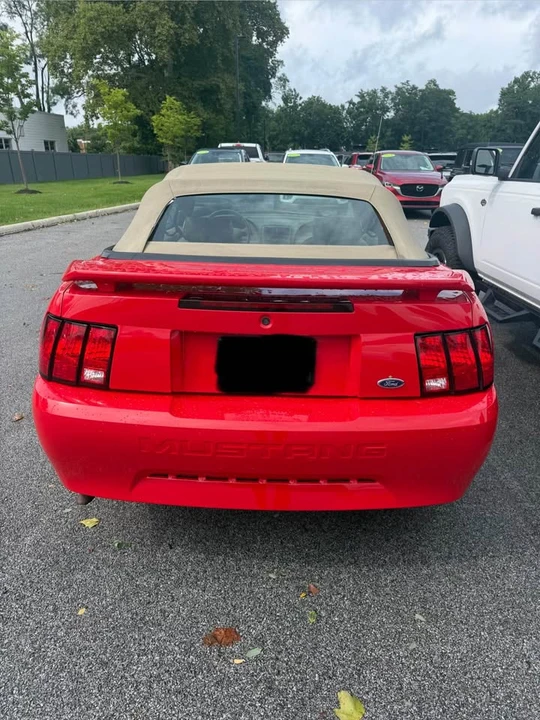 2003 Ford SN95 Mustang - Image 5 of 10