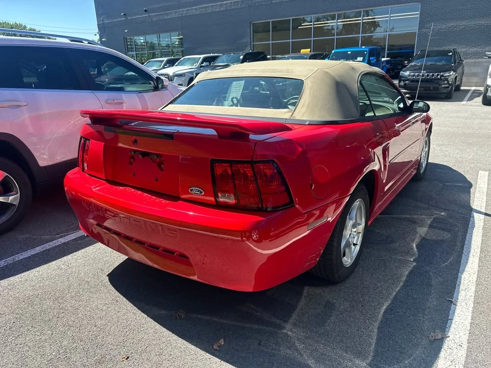 2003 Ford SN95 Mustang - Image 6 of 10