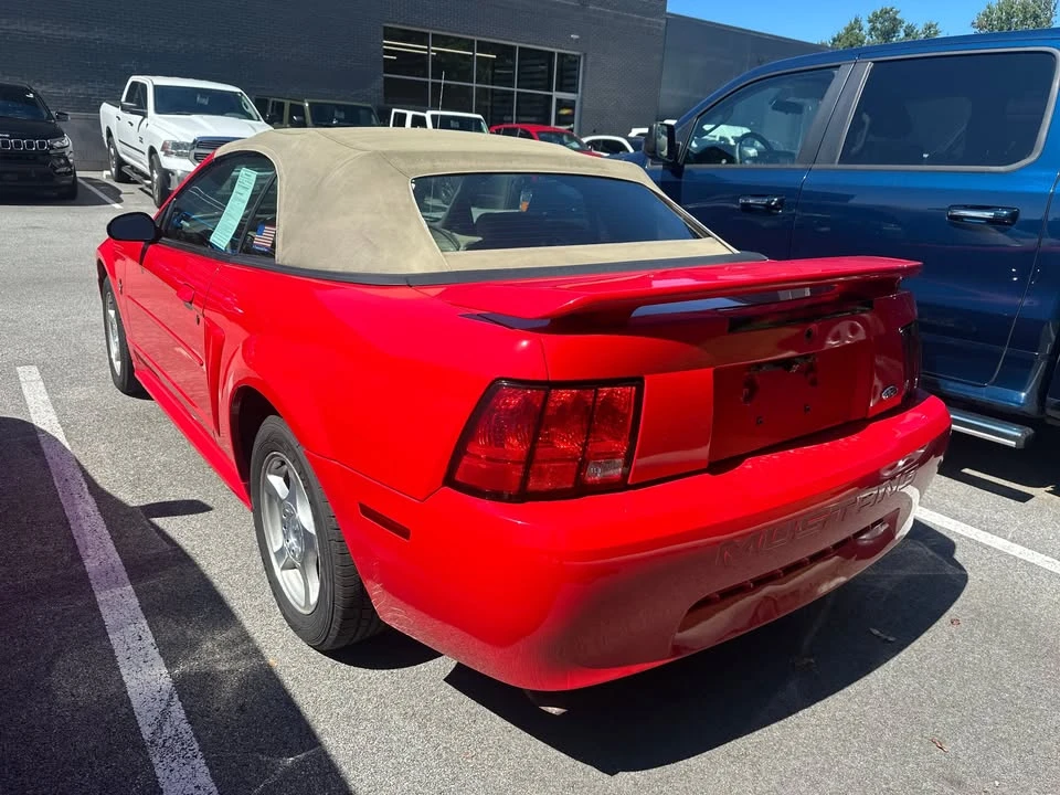 2003 Ford SN95 Mustang - Image 4 of 10