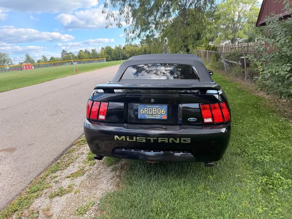 2003 Ford SN95 Mustang - Image 3 of 7