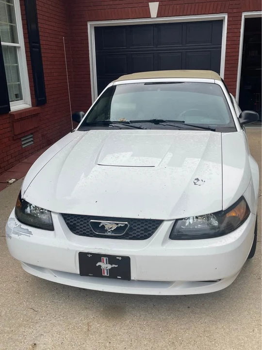 2003 Ford SN95 Mustang - Image 3 of 5