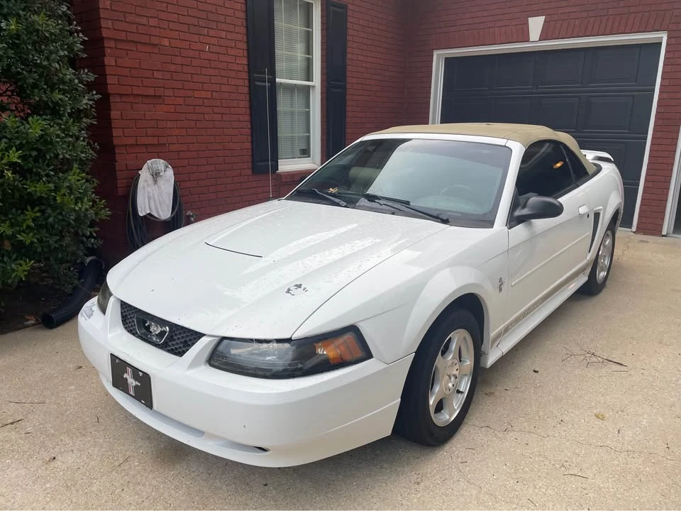 2003 Ford SN95 Mustang - Image 4 of 5