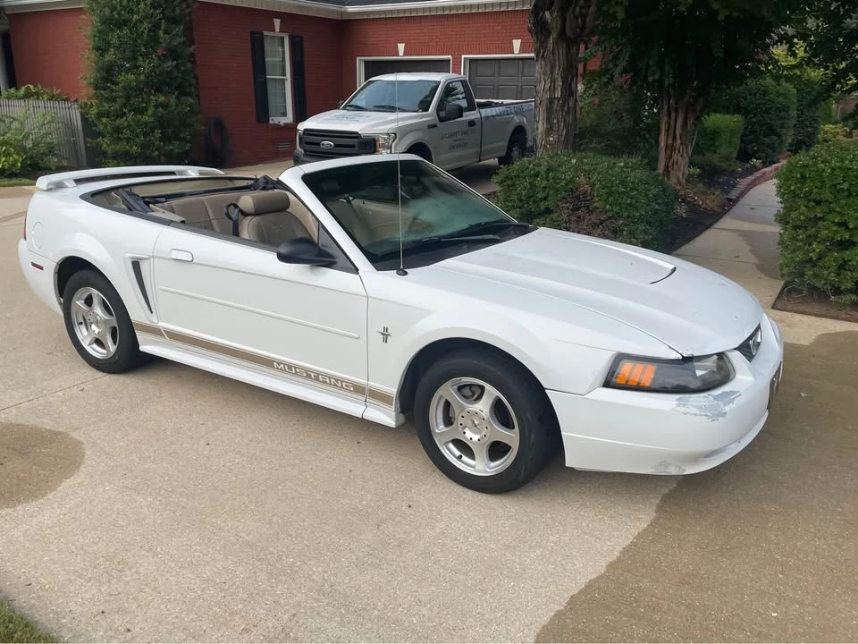 2003 Ford SN95 Mustang - Image 2 of 5