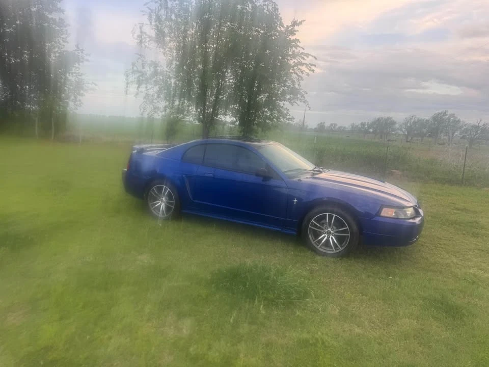 2003 Ford SN95 Mustang - Image 2 of 5