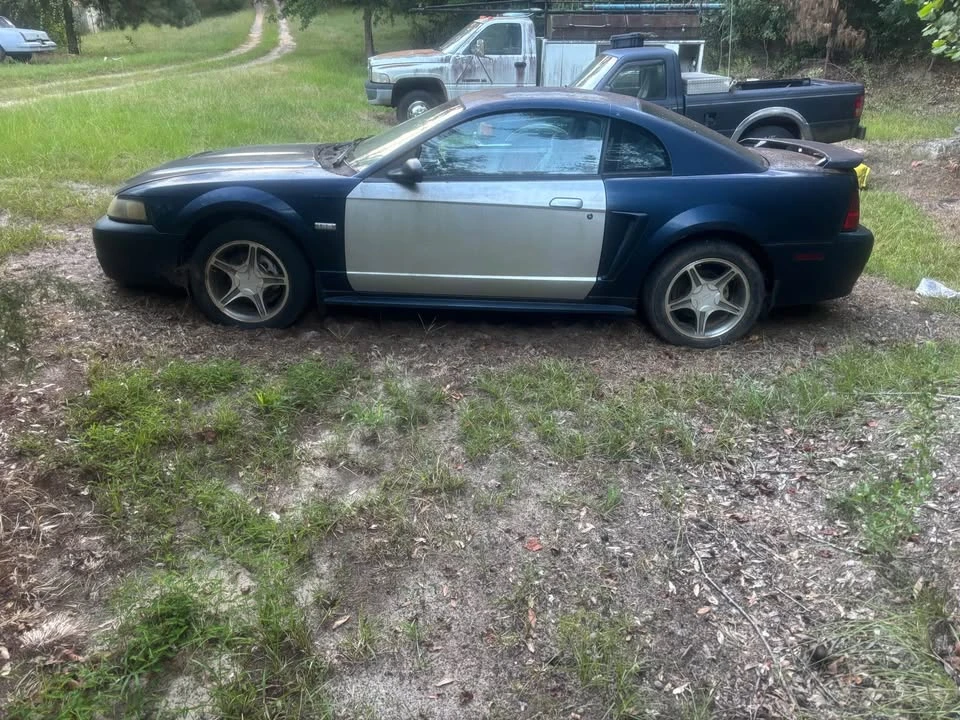 2003 Ford SN95 Mustang - Image 3 of 7