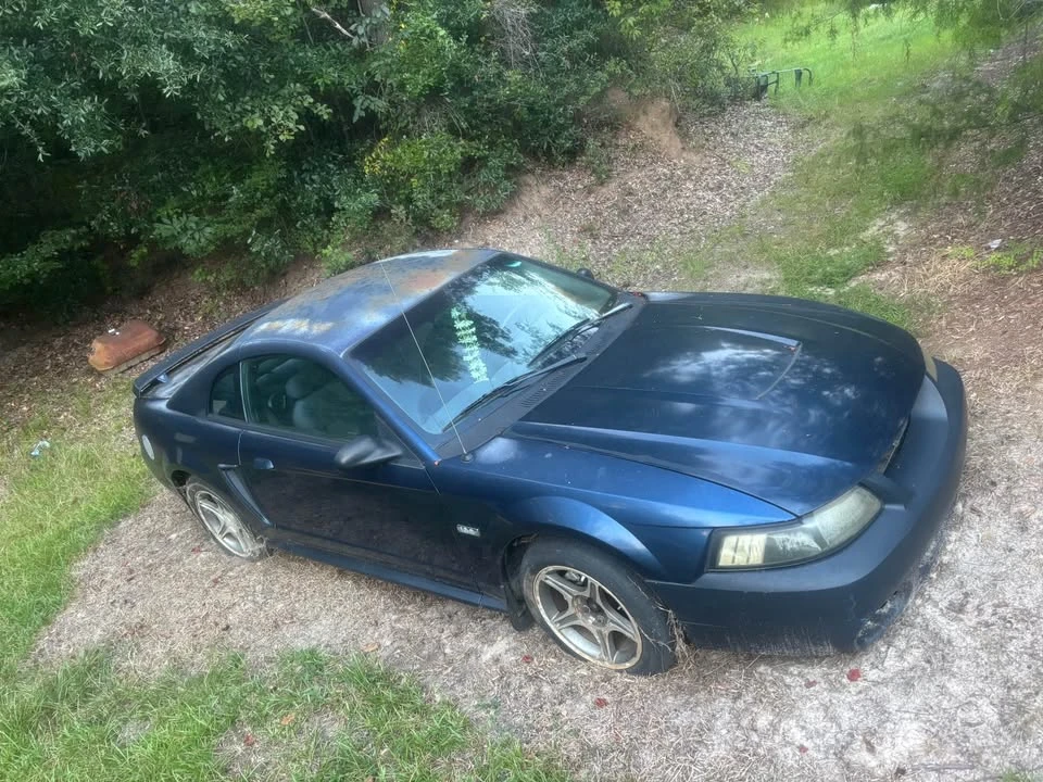 2003 Ford SN95 Mustang - Image 2 of 7