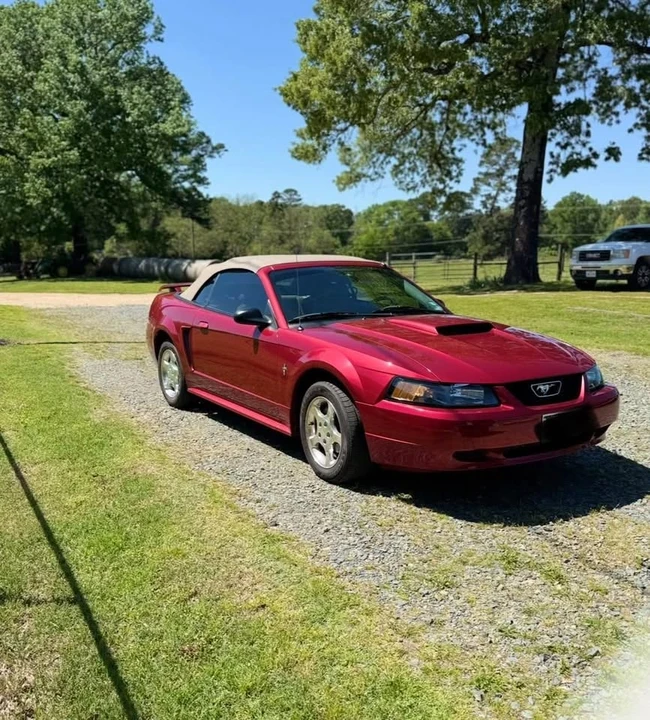 2003 Ford SN95 Mustang - Image 2 of 6
