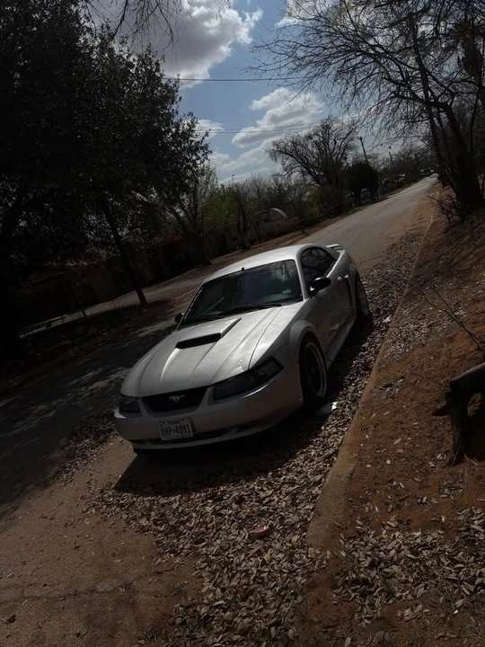 2003 Ford SN95 Mustang - Image 2 of 3