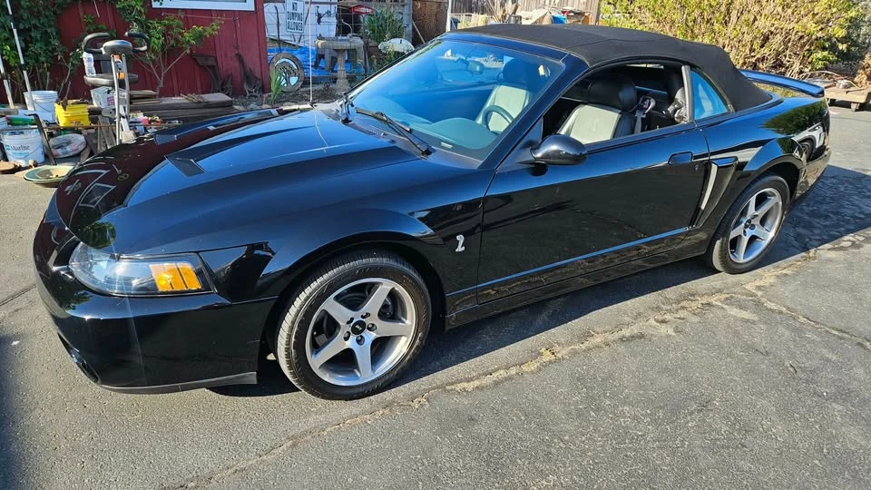 2003 Ford SN95 Mustang Cobra - Image 5 of 10