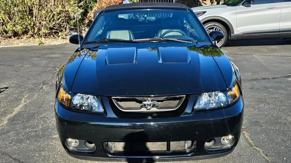 2003 Ford SN95 Mustang Cobra - Image 10 of 10