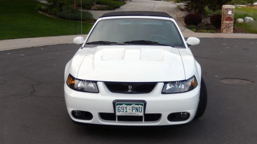 2003 Ford SN95 Mustang Cobra - Image 8 of 10