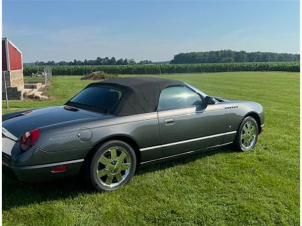 2003 Ford Thunderbird 11th Gen - Image 9 of 11