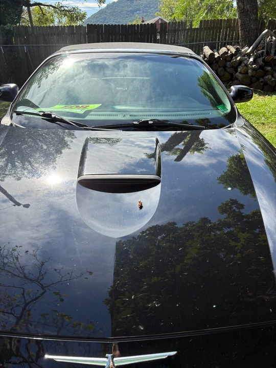 2003 Ford Thunderbird 11th Gen - Image 6 of 13