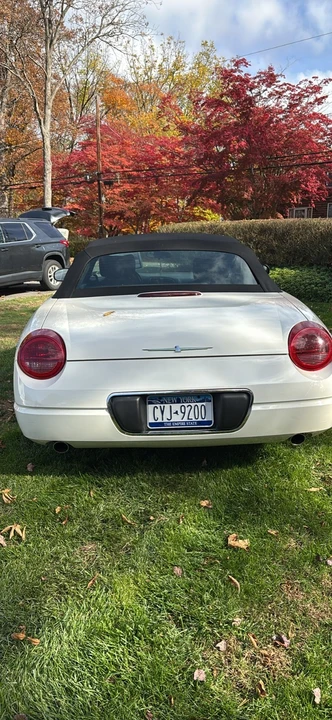 2003 Ford Thunderbird 11th Gen - Image 6 of 7