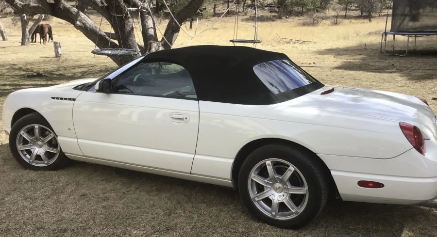 2003 Ford Thunderbird 11th Gen - Image 4 of 16