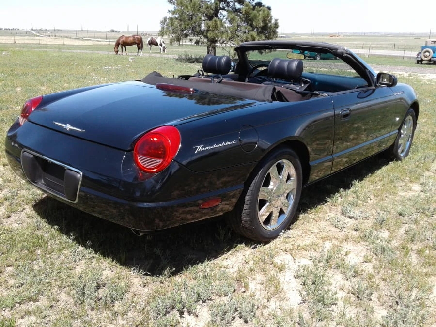 2003 Ford Thunderbird 11th Gen - Image 10 of 11