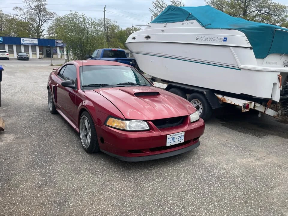 2003 Ford SN95 Mustang - Image 2 of 9