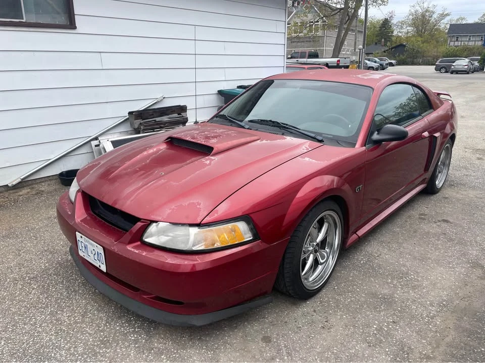 2003 Ford SN95 Mustang - Image 3 of 9