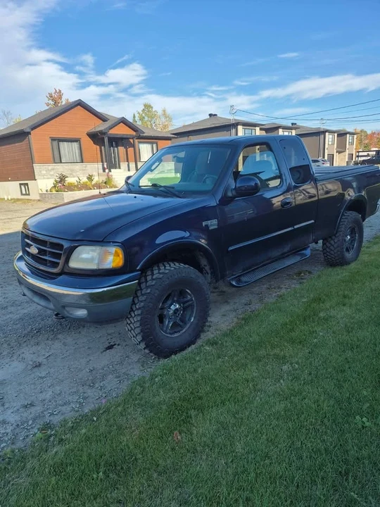 2003 Ford F-150 10th Gen - Image 5 of 12