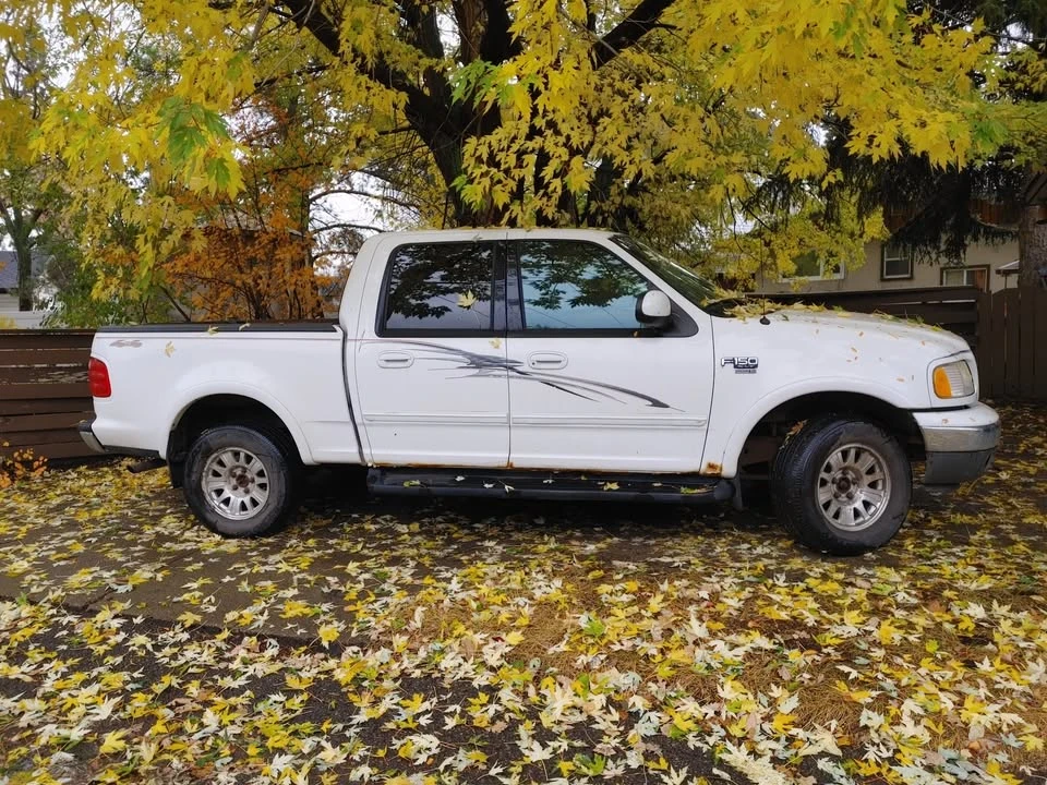 2003 Ford F-150 10th Gen - Image 4 of 10