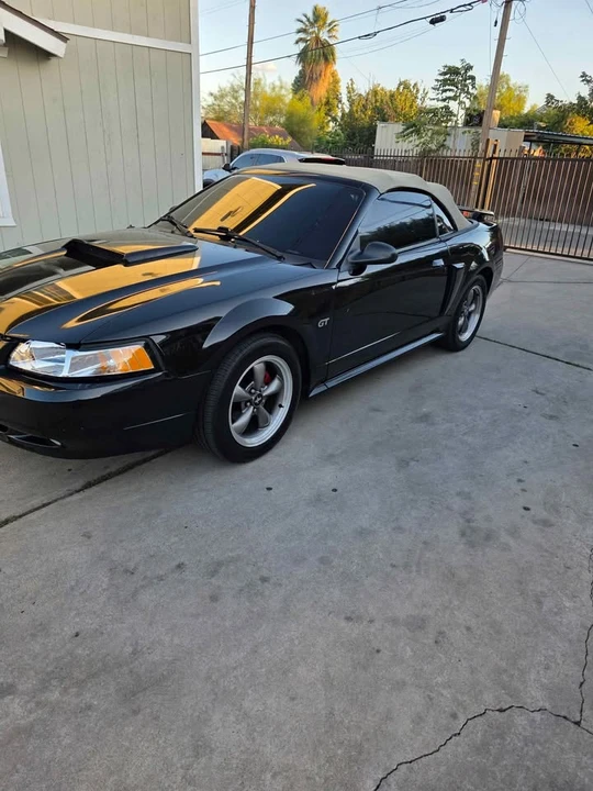 2003 Ford GT 1st Gen - Image 9 of 15