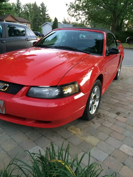 2003 Ford SN95 Mustang - Image 3 of 6
