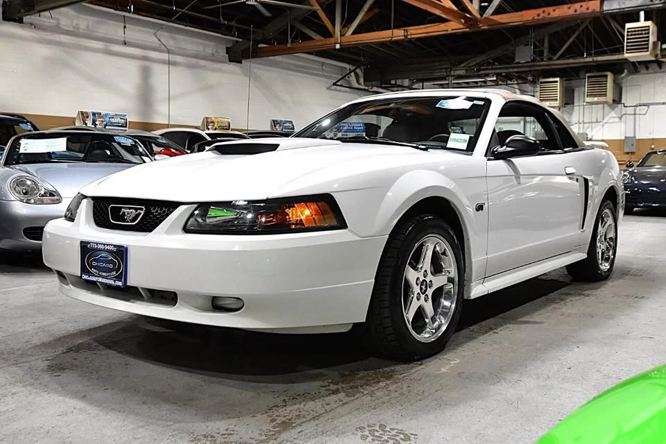 2003 Ford SN95 Mustang - Image 8 of 20