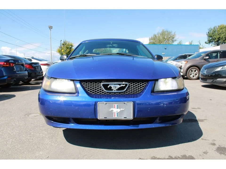 2003 Ford SN95 Mustang - Image 9 of 20