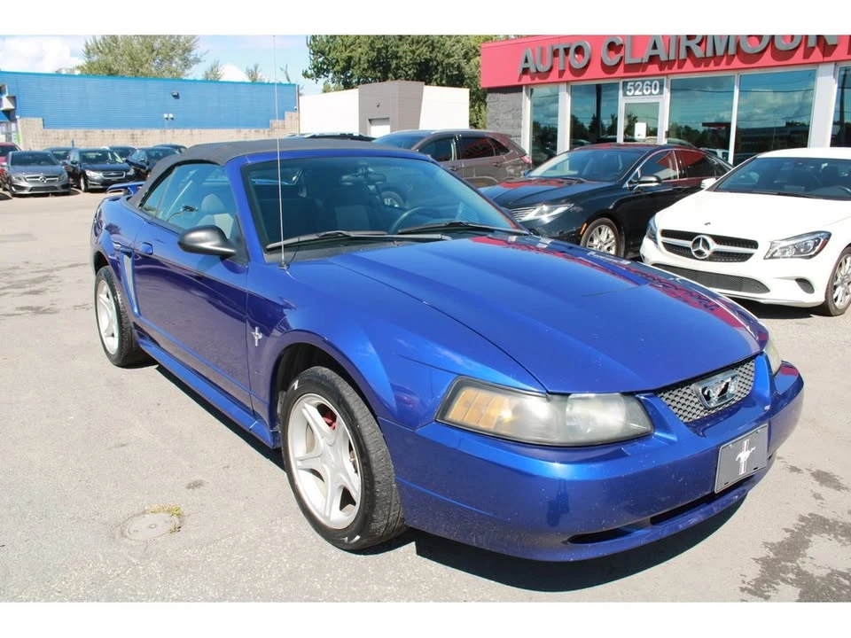 2003 Ford SN95 Mustang - Image 8 of 20