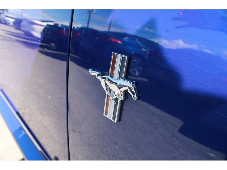 2003 Ford SN95 Mustang - Image 12 of 20
