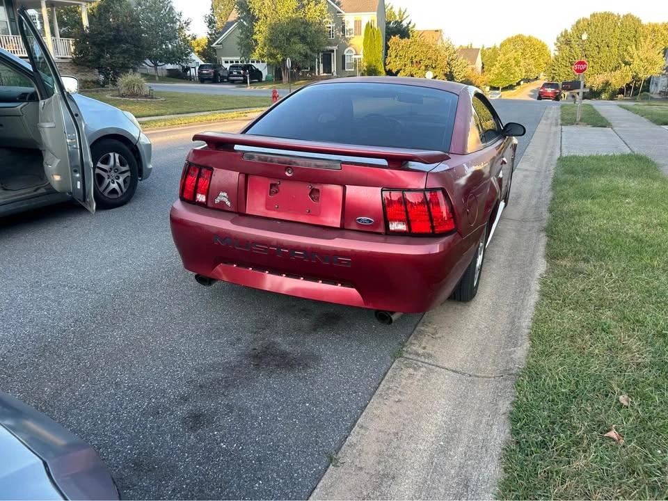 2003 Ford SN95 Mustang - Image 3 of 5