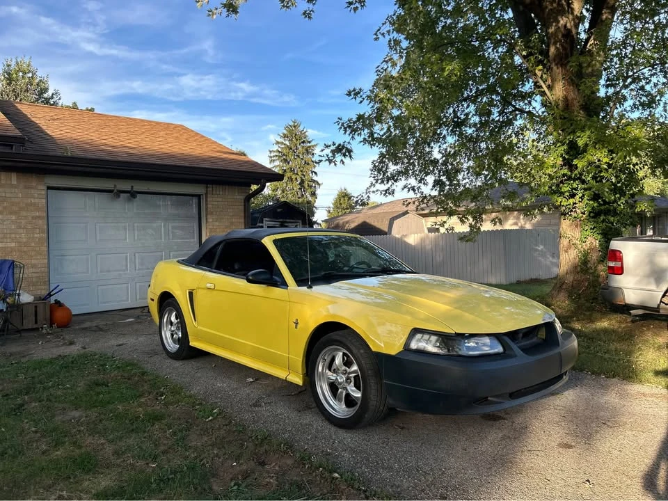 2003 Ford SN95 Mustang - Image 2 of 8