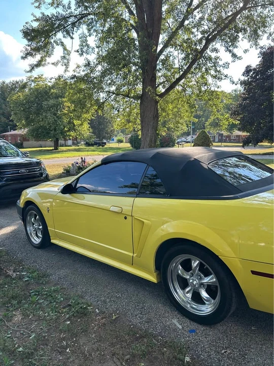 2003 Ford SN95 Mustang - Image 3 of 8