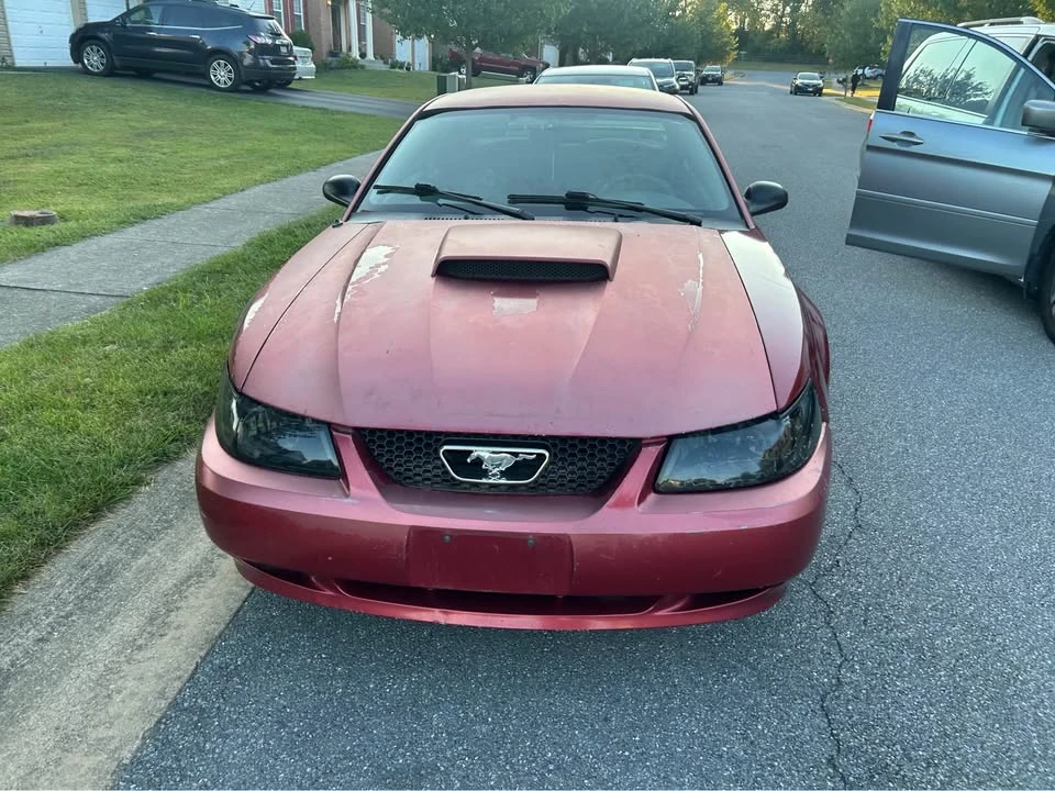 2003 Ford SN95 Mustang - Image 2 of 5