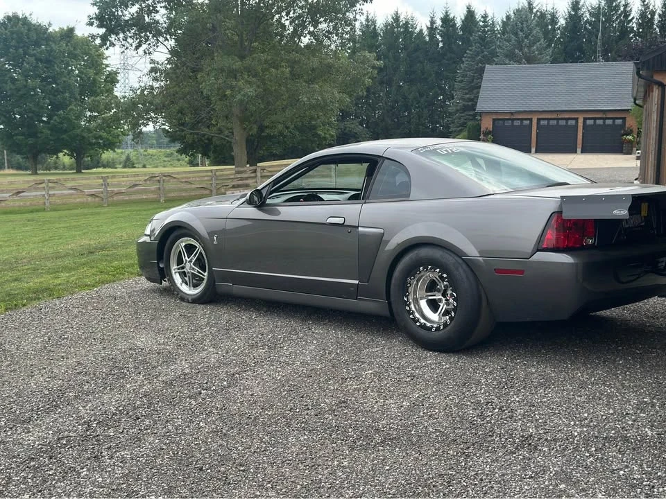 2003 Ford SN95 Mustang - Image 5 of 11