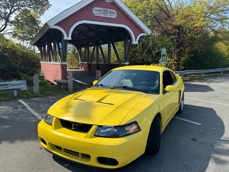 2003 Ford SN95 Mustang - Image 2 of 5